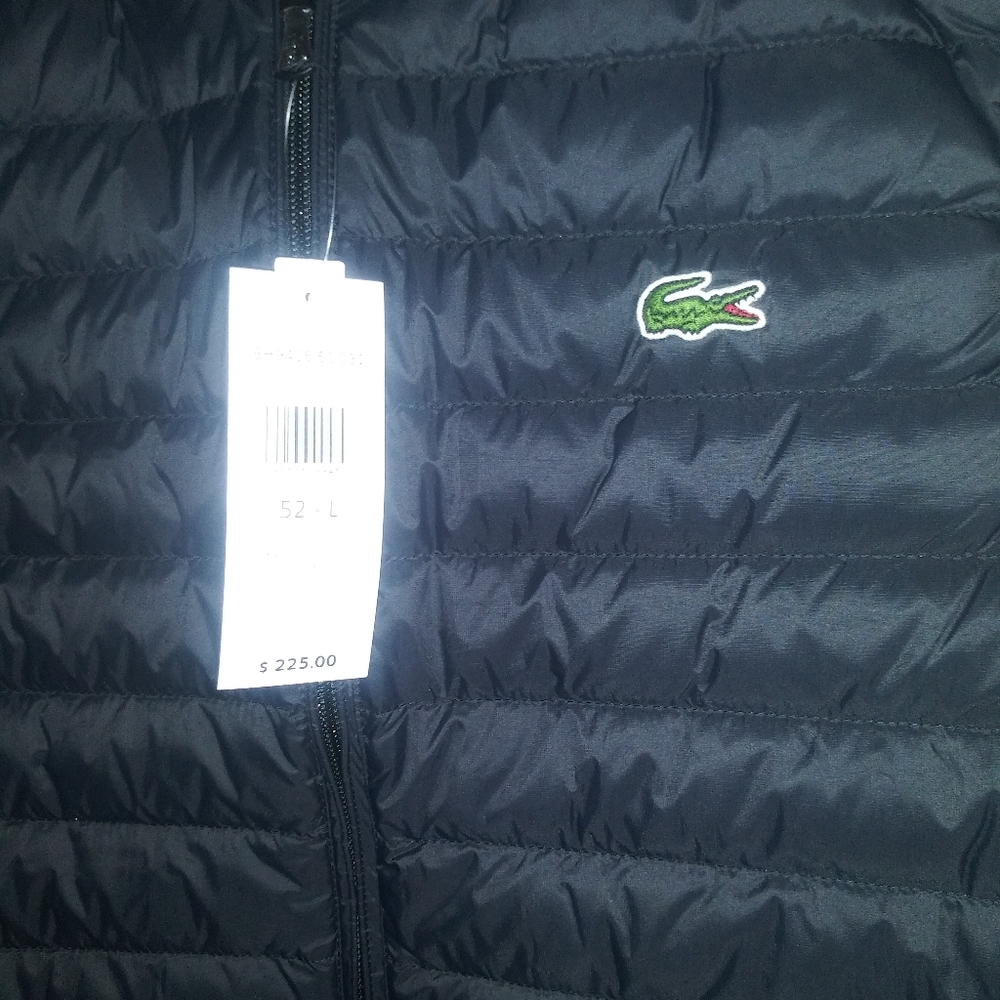 Vest